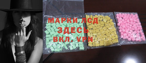 прущие грибы Балабаново