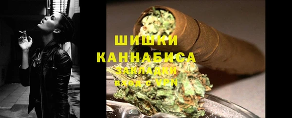 прущие грибы Балабаново