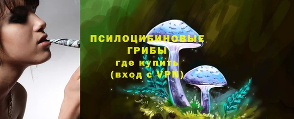 не бодяженный Балахна