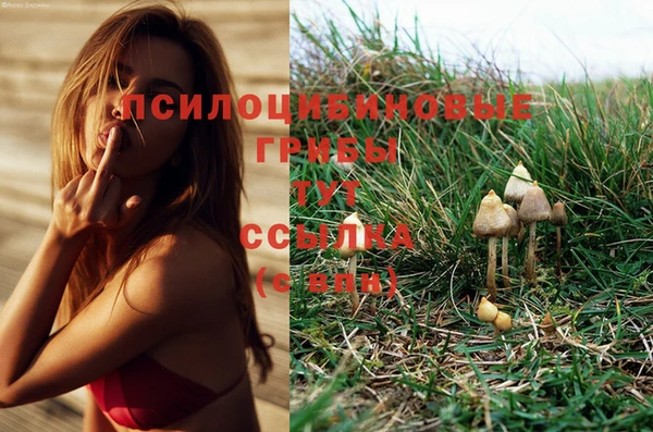 МДМА Баксан