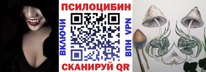 Галлюциногенные грибы Psilocybine cubensis  Пятигорск 
